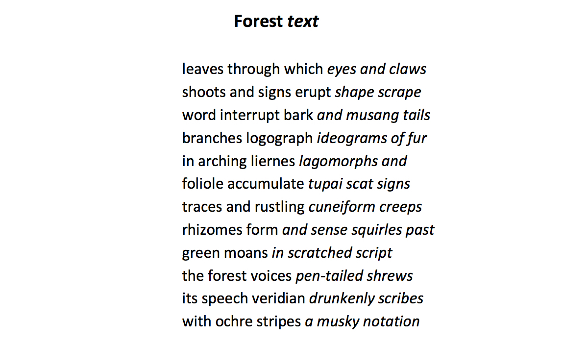 L Kiew – Forest Text