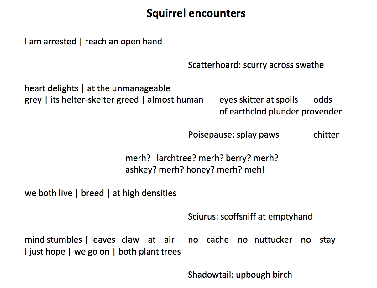 L Kiew – Squirrel Encounters